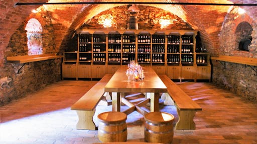 Vid’s Cellar Haloze